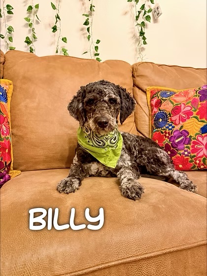 Billy